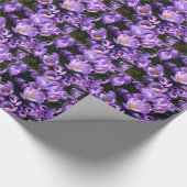 Alle Occasion Paarse Crocus Wrapping Paper Cadeaupapier (Hoek)