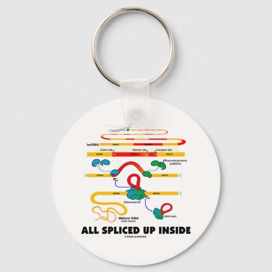 Alle opgesplitste RNA-splicing Sleutelhanger (Voorkant)