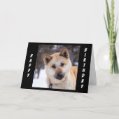 "ALLE PAAR" OM TE HOOREN HOE U UW BIRTHDAAG BEVIND KAART (Voorkant)