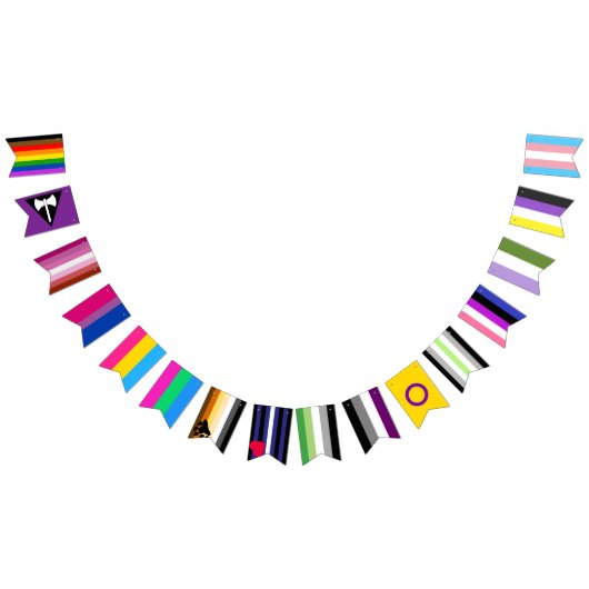 Alle Pride Flags 2.0 Vlaggetjes (Alle)