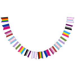 Alle Pride Flags Vlaggetjes