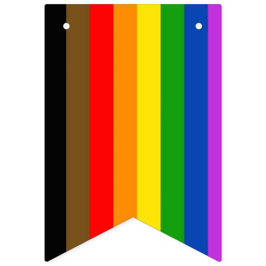 Alle Pride Flags Vlaggetjes (Eerste vlag)