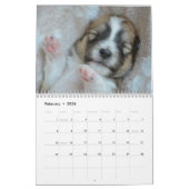 Alle Puppies 2025 Puppy Hondenwandkalender Kalender (Feb 2026)