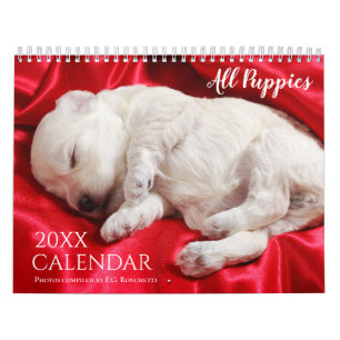 Alle Puppies 2027 Puppy Honden Muur Cute Kalender