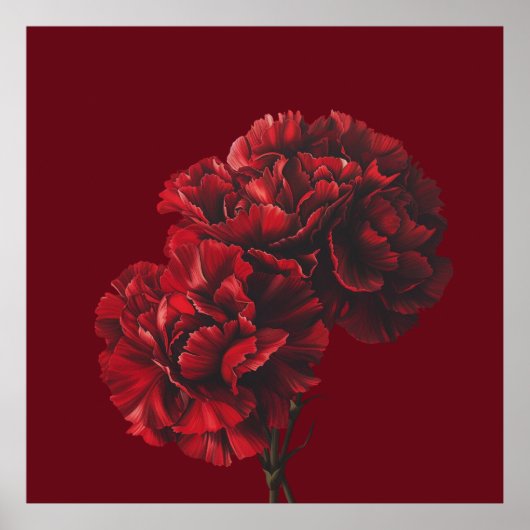 Alle rode Anjer Bloem Poster (Voorkant)