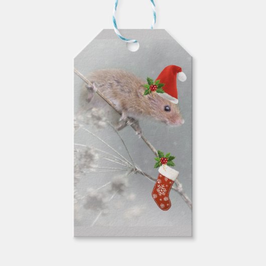 Alle Set voor Santa Gift Labels Cadeaulabel (Voorkant)