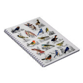Alle soorten vogels notitieboek (Rechterzijde)