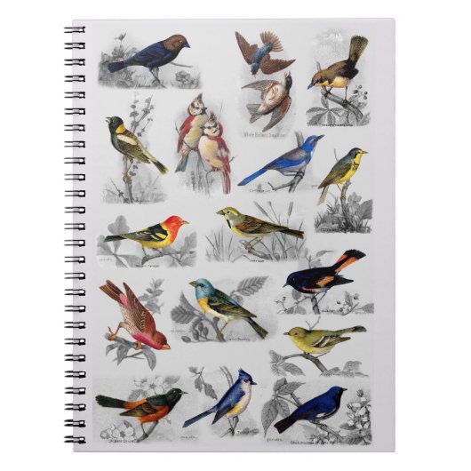 Alle soorten vogels notitieboek (Voorkant)