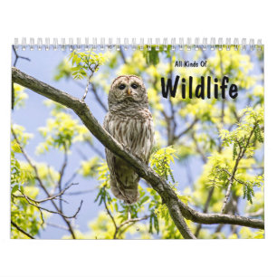 Alle soorten wilde dieren kalender