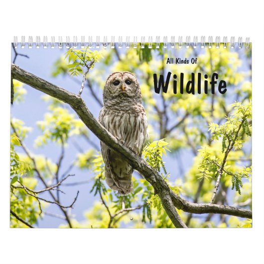 Alle soorten wilde dieren kalender (Hoes)