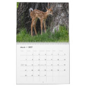Alle soorten wilde dieren kalender (Mar 2027)