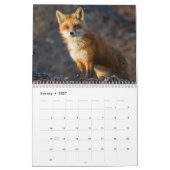 Alle soorten wilde dieren kalender (Jan 2027)