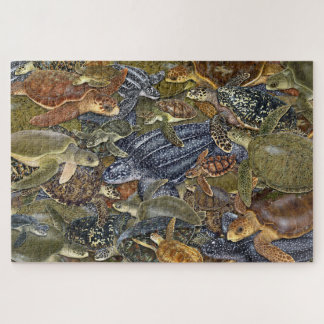 Alle Soorten Zeeschildpadden Puzzel