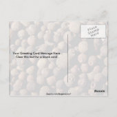 Alle specerijen briefkaart (Achterkant)