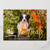 Alle Verdragen | Foto Halloween Pet Folie Feestdagenkaart (Voorkant)