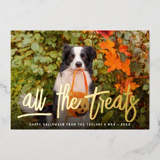 Alle Verdragen | Foto Halloween Pet Folie Feestdagenkaart (Voorkant)