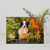 Alle Verdragen | Foto Halloween Pet Folie Feestdagenkaart (Staand Voorkant)