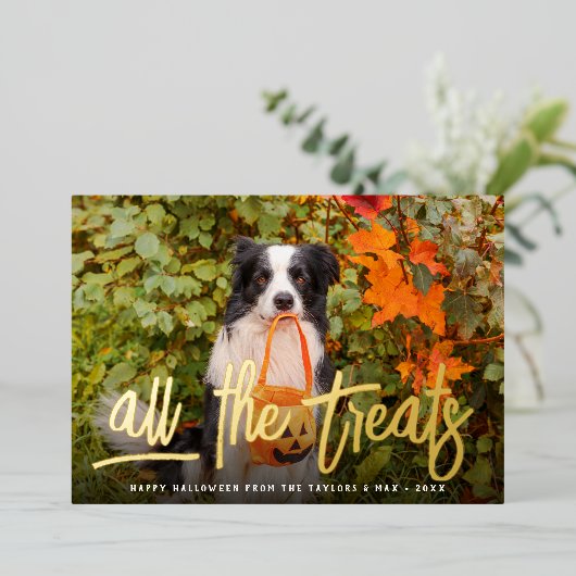 Alle Verdragen | Foto Halloween Pet Folie Feestdagenkaart (Staand Voorkant)