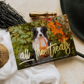 Alle Verdragen | Foto Halloween Pet Folie Feestdagenkaart