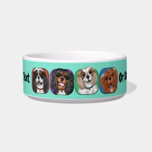 Alle vier Cavalier King Charles, Cute Voerbakje