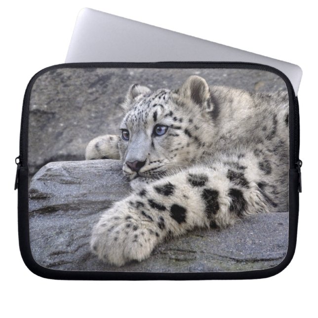 Alle weggeplaveide laptophoes laptop sleeve (Voorkant)