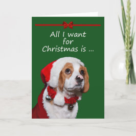 Alle wil ik voor het Wenskaart van Kerstmis Feestdagen Kaart