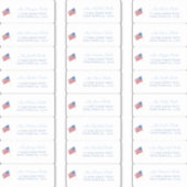 Alledaags Amerikaanse Vlag 4 juli gastadres Sticker (Voorkant)