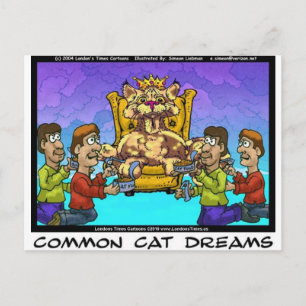 Alledaagse katten dromen grappige cadeaus T-shirts Briefkaart