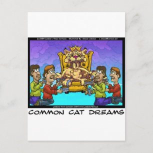 Alledaagse katten dromen grappige cadeaus T-shirts Briefkaart