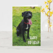 ALLEDAAGSE W / U IS SPECIALE VERJAARDAGSWENSEN KAART (Gele Bloem)