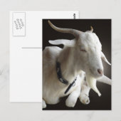 Alleen Billy Briefkaart (Voorkant / Achterkant)
