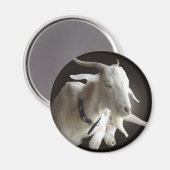 Alleen Billy Magneet (Voorkant / Achterkant)