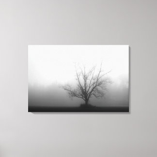 Alleen - boom in de ochtend mist Verpakt Canvas Afdruk