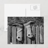 Alleen Boots Briefkaart (Voorkant / Achterkant)