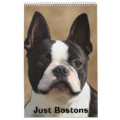 Alleen Bostons Kalender (Hoes)