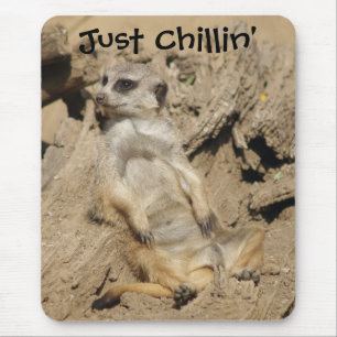 Alleen Chillin' Meerkat Foto Muismat