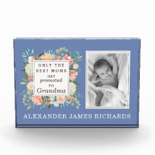 Alleen de beste muizen worden gepromoot naar de fo fotoblokken