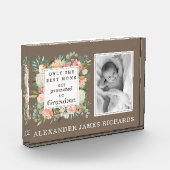 Alleen de beste muizen worden gepromoot naar de fo fotoblokken (Links)