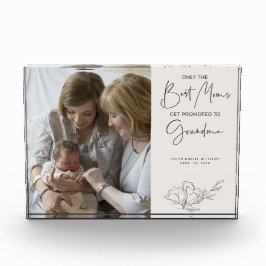 Alleen de beste muizen worden gepromoot naar oma B Fotoblokken