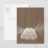 alleen de katten fluisteren briefkaart (Voorkant / Achterkant)