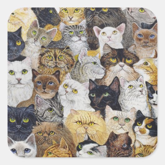 Alleen de kattenbakker vierkante sticker (Voorkant)