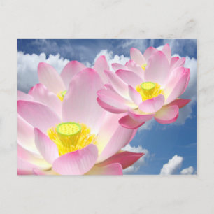 Alleen een Lotus Blossom + jouw tekst & ideeën Briefkaart