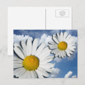 Alleen een Marguerite Blossom + jouw tekst en idee Briefkaart (Voorkant / Achterkant)