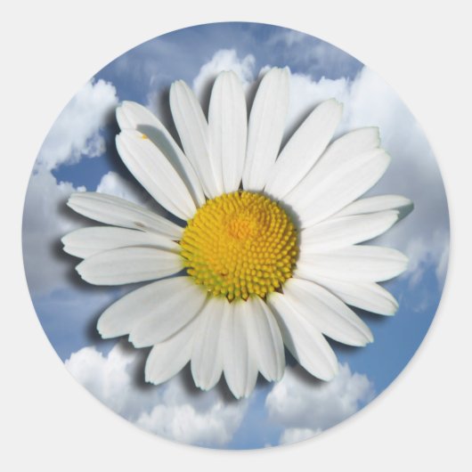 Alleen een Marguerite Blossom + jouw tekst en idee Ronde Sticker (Voorkant)