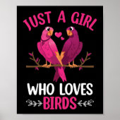 Alleen een meisje dat van vogels houdt poster (Voorkant)