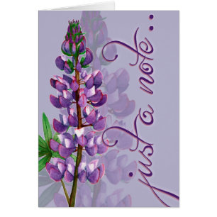 Alleen een opmerking