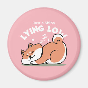 Alleen een Shiba Lying Low: Schattige Shiba Inu-on Magneet