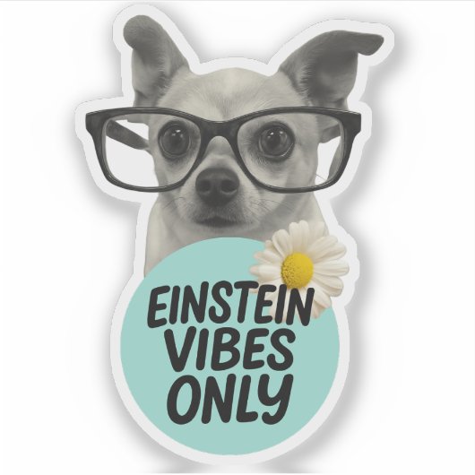 Alleen Einstein Vibes - Smart & Sassy Sticker (Voorkant)