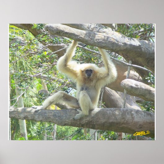 Alleen Hangin uit Poster (Voorkant)