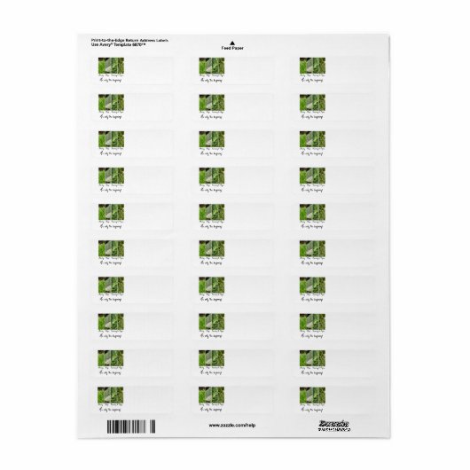 Alleen het beginlabel etiket (Full Sheet)